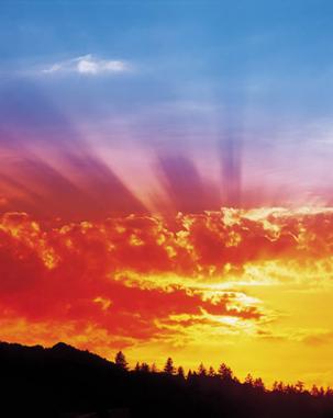 color photo of a colorful sunrise with an evergreen stand on a mountain in silhouette in the background